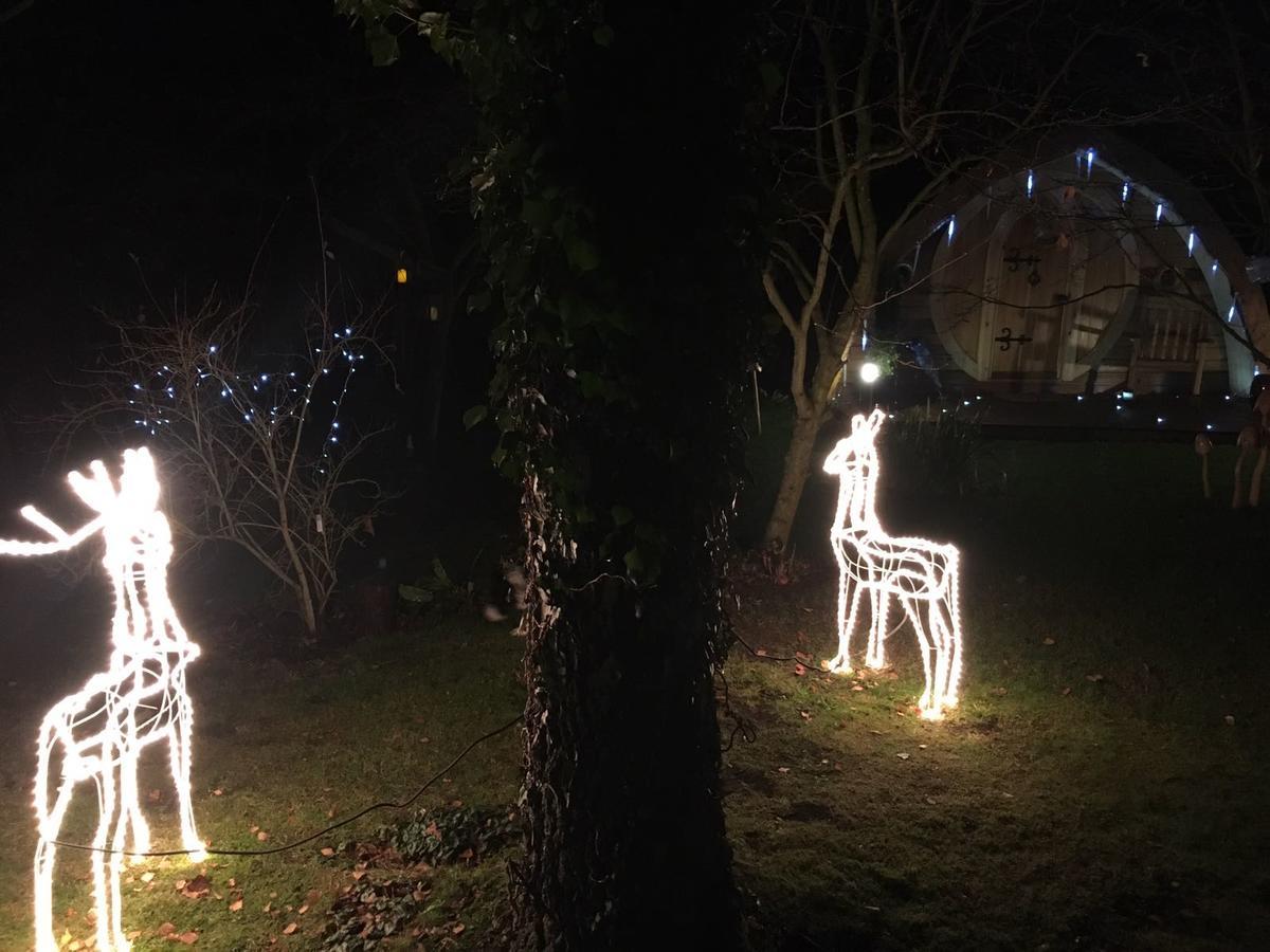 西泰宁住宿加早餐旅馆 Bitton 外观 照片